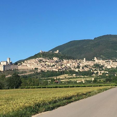 B&B Raffiori Assisi Bagian luar foto